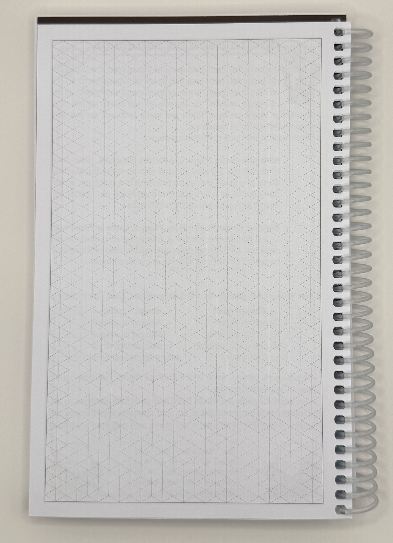 Isometric grid paper for 3-D concept sketching inside the Dungeon Designer's Notebook.