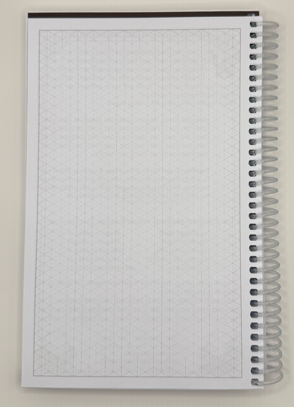 Isometric grid paper for 3-D concept sketching inside the Dungeon Designer's Notebook.