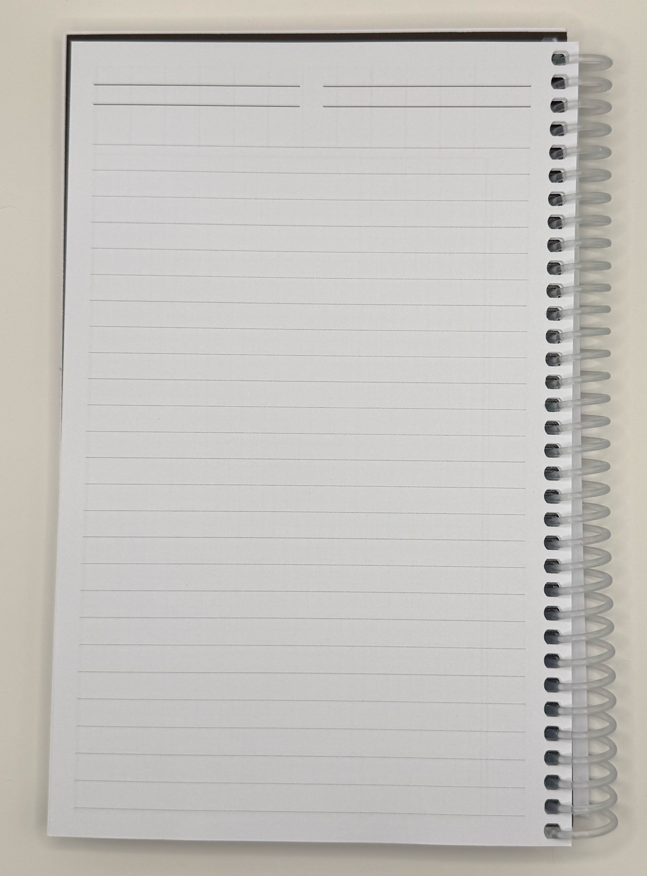 College-ruled paper for lore, encounters, reminders, and other notes inside the Dungeon Designer's Notebook.